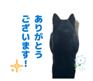 858746620