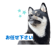 858746621