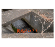 858747157