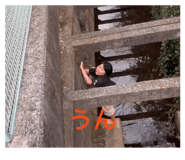 858747164