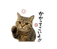 858747295