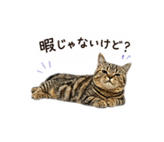 858747300