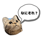 858747303