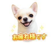 858747476