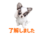 858747479