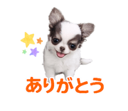 858747481