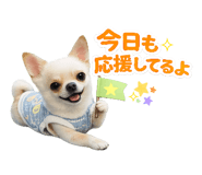 858747484