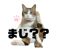 858747859