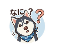 858748604