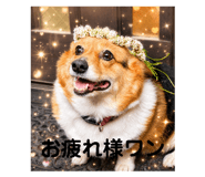 858749066