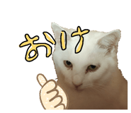 858750531