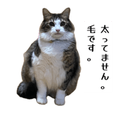 858750718