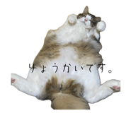 858750728