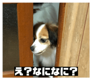 858750880