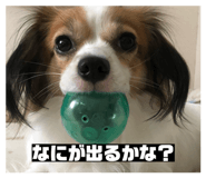 858750882