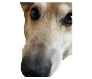 858751543