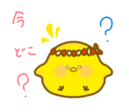 858752162