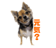 858752208