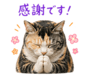 858753369