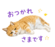 858753373