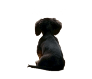 858753421