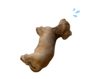 858753422
