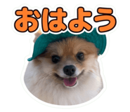 858754304