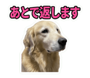 858754451