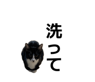 858754676