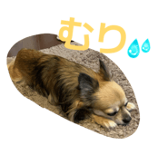 858754732