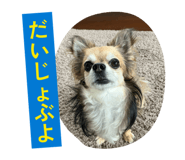 858754746