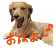 858755401