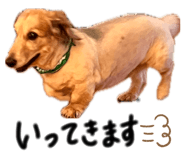 858755406