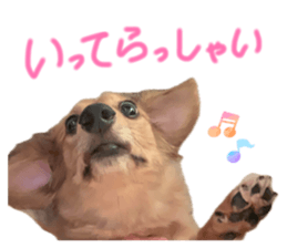 858755414