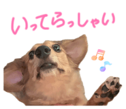 858755414