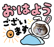 858755438