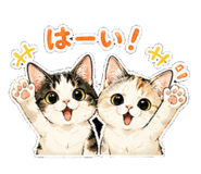 858755846