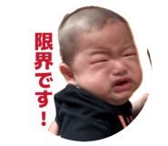 858756338