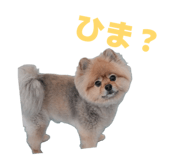 858756342