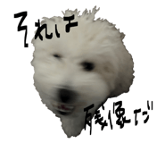 858756409