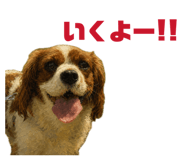 858756471