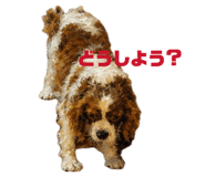 858756474