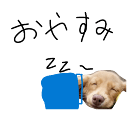 858756546