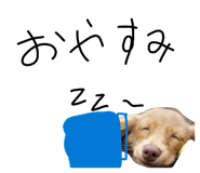 858756546