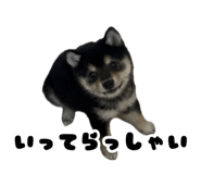 858757169