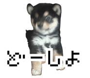 858757174