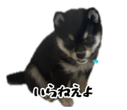 858757181
