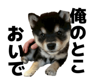 858757189