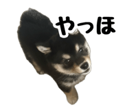 858757191