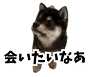 858757193